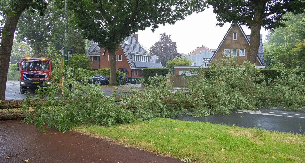 Boom belandt op provinciale weg - Foto 2