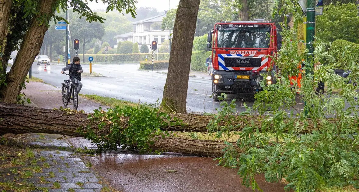 Boom belandt op provinciale weg - Foto 3