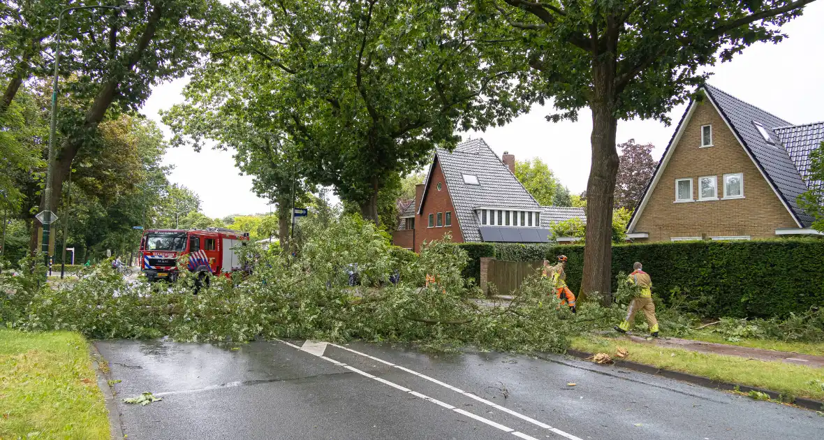 Boom belandt op provinciale weg - Foto 4