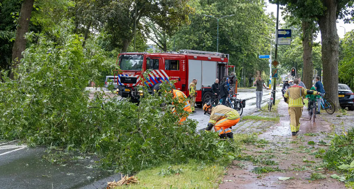 Boom belandt op provinciale weg - Foto 5