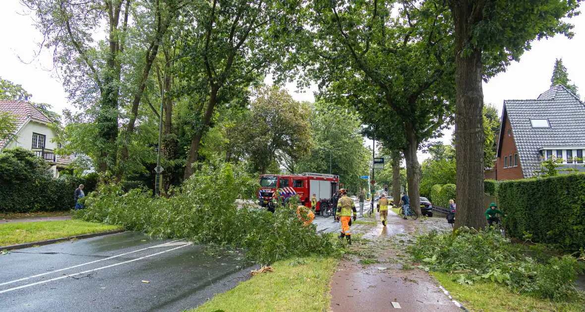 Boom belandt op provinciale weg - Foto 6