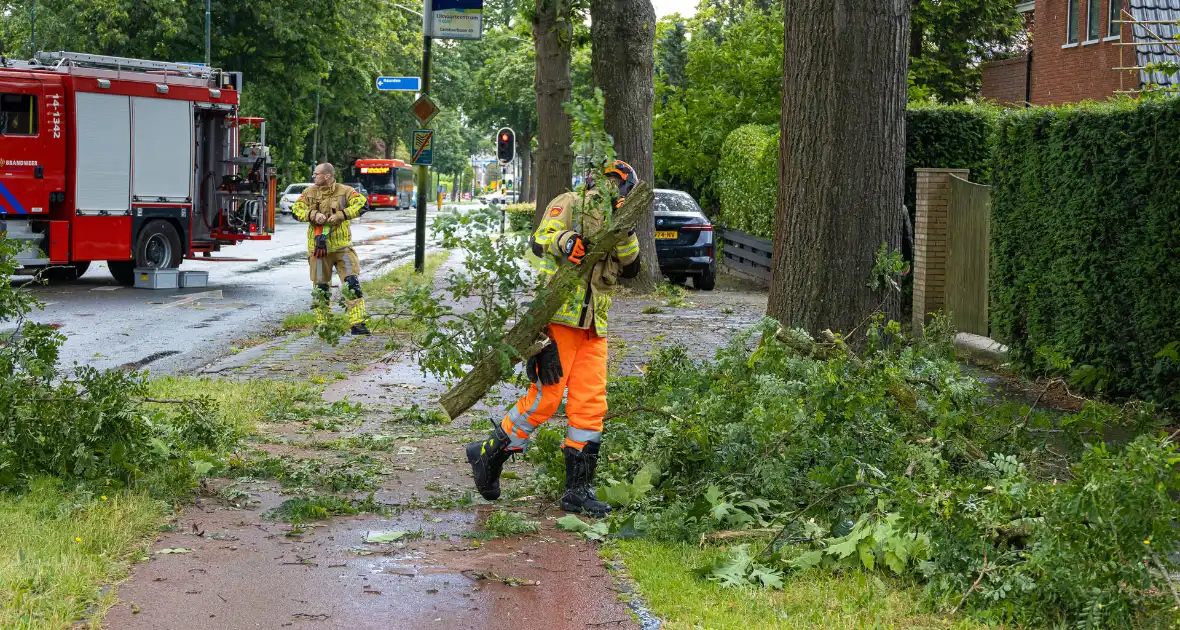 Boom belandt op provinciale weg - Foto 7