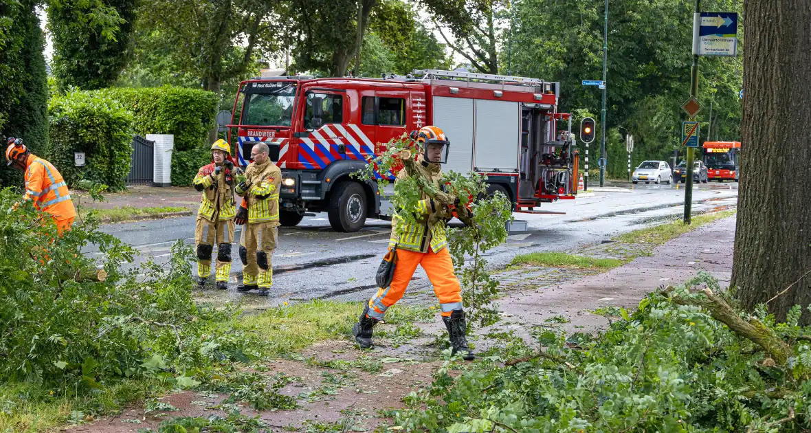 Boom belandt op provinciale weg - Foto 8