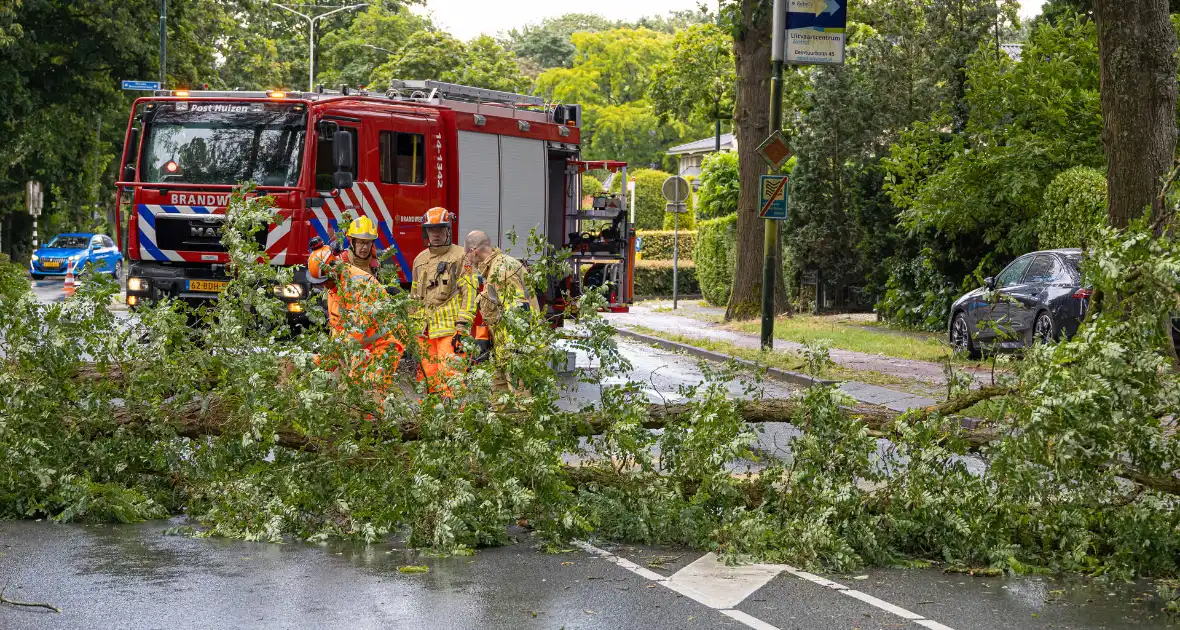 Boom belandt op provinciale weg - Foto 9