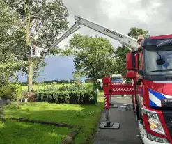 Brandweer verwijderd afgewaaide tak die op boerderij valt