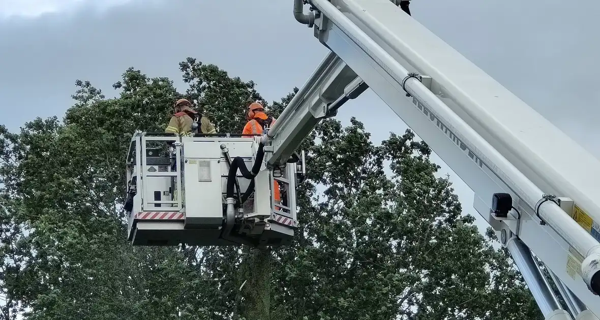 Brandweer verwijderd afgewaaide tak die op boerderij valt - Foto 10