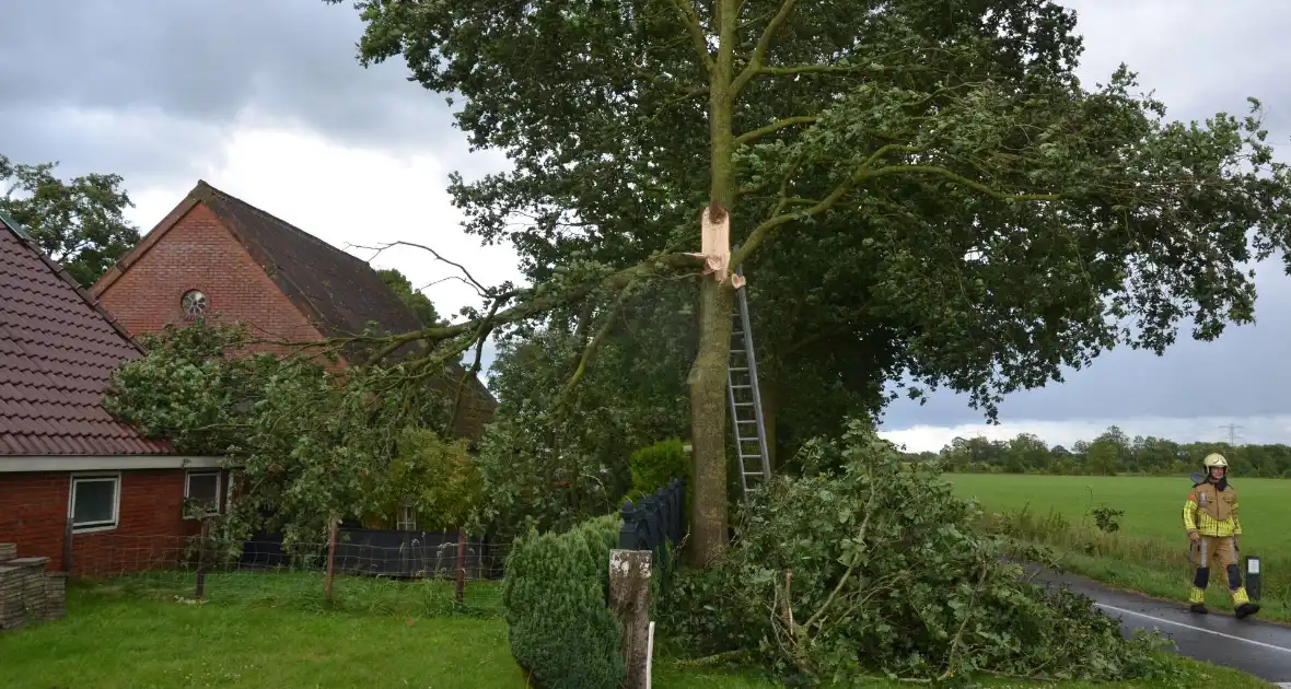 Brandweer verwijderd afgewaaide tak die op boerderij valt - Foto 4