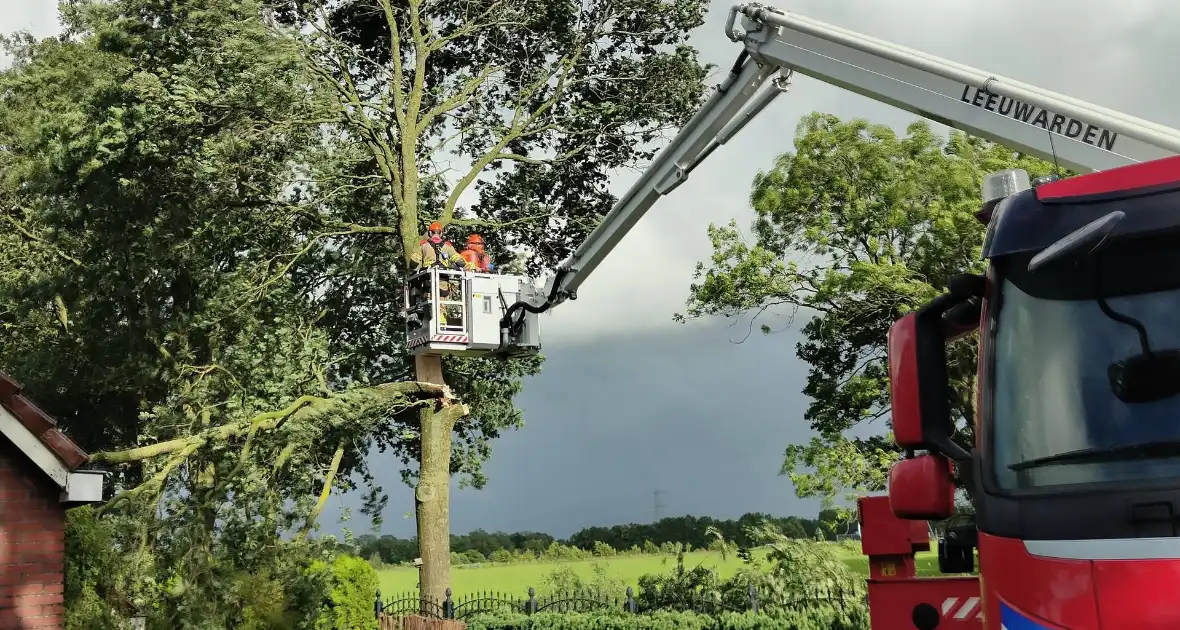 Brandweer verwijderd afgewaaide tak die op boerderij valt - Foto 5