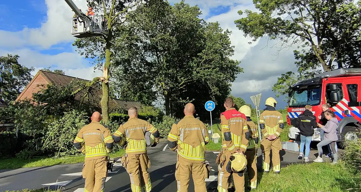 Brandweer verwijderd afgewaaide tak die op boerderij valt - Foto 6