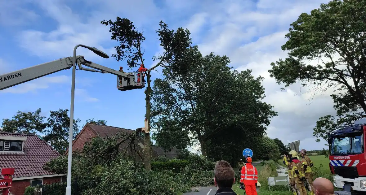 Brandweer verwijderd afgewaaide tak die op boerderij valt - Foto 7