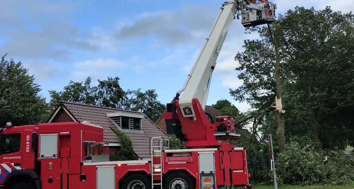 Brandweer verwijderd afgewaaide tak die op boerderij valt - Foto 8