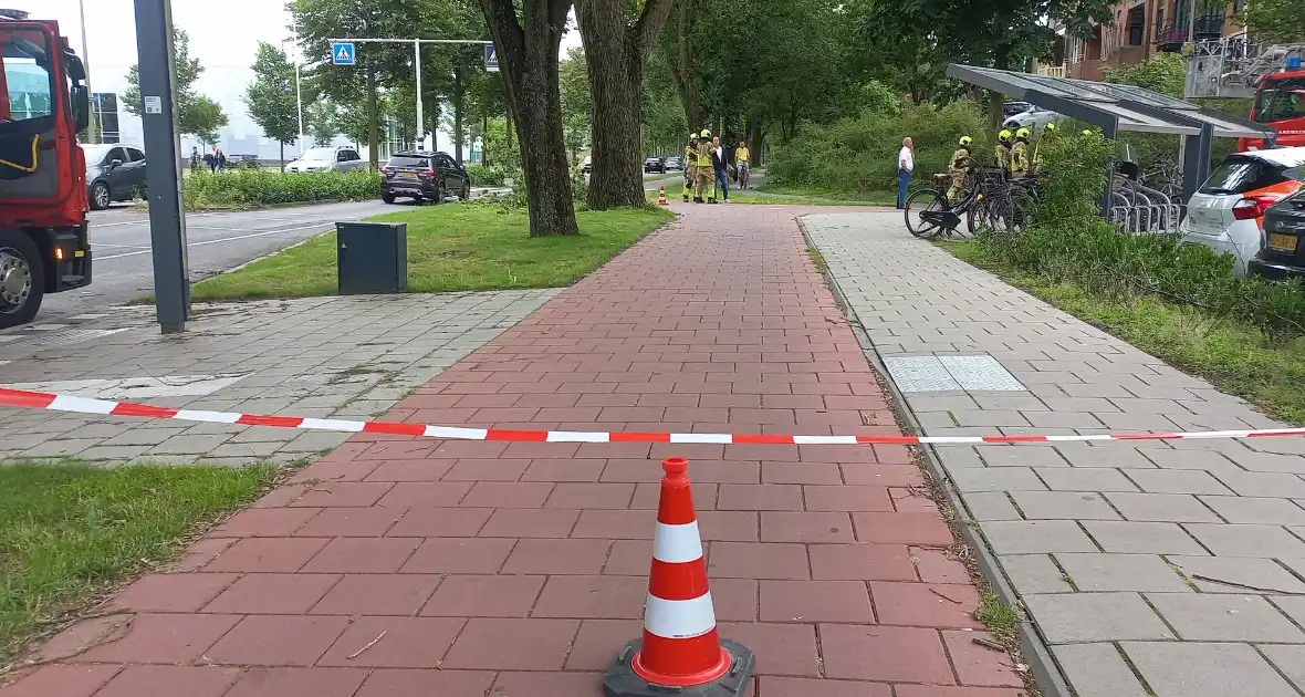 Brandweer verwijdert gevaarlijk hangende tak boven fiets/voetpad