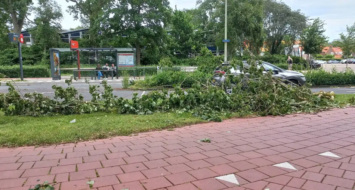 Brandweer verwijdert gevaarlijk hangende tak boven fiets/voetpad - Foto 10