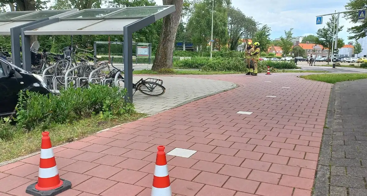 Brandweer verwijdert gevaarlijk hangende tak boven fiets/voetpad - Foto 3