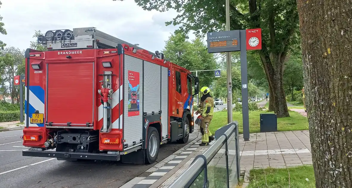 Brandweer verwijdert gevaarlijk hangende tak boven fiets/voetpad - Foto 5