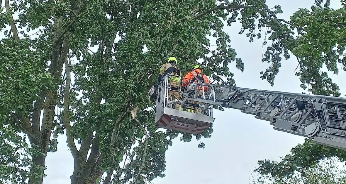 Brandweer verwijdert gevaarlijk hangende tak boven fiets/voetpad - Foto 6