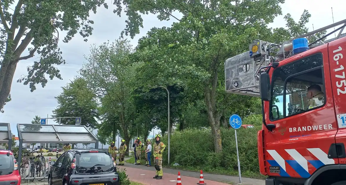 Brandweer verwijdert gevaarlijk hangende tak boven fiets/voetpad - Foto 7