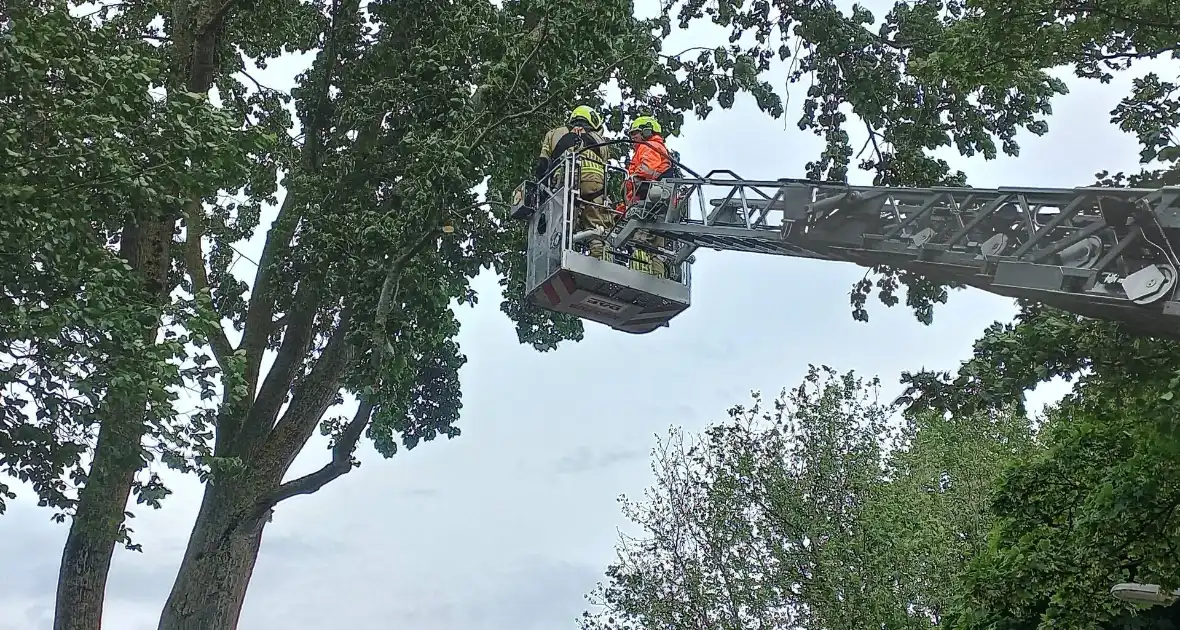 Brandweer verwijdert gevaarlijk hangende tak boven fiets/voetpad - Foto 9