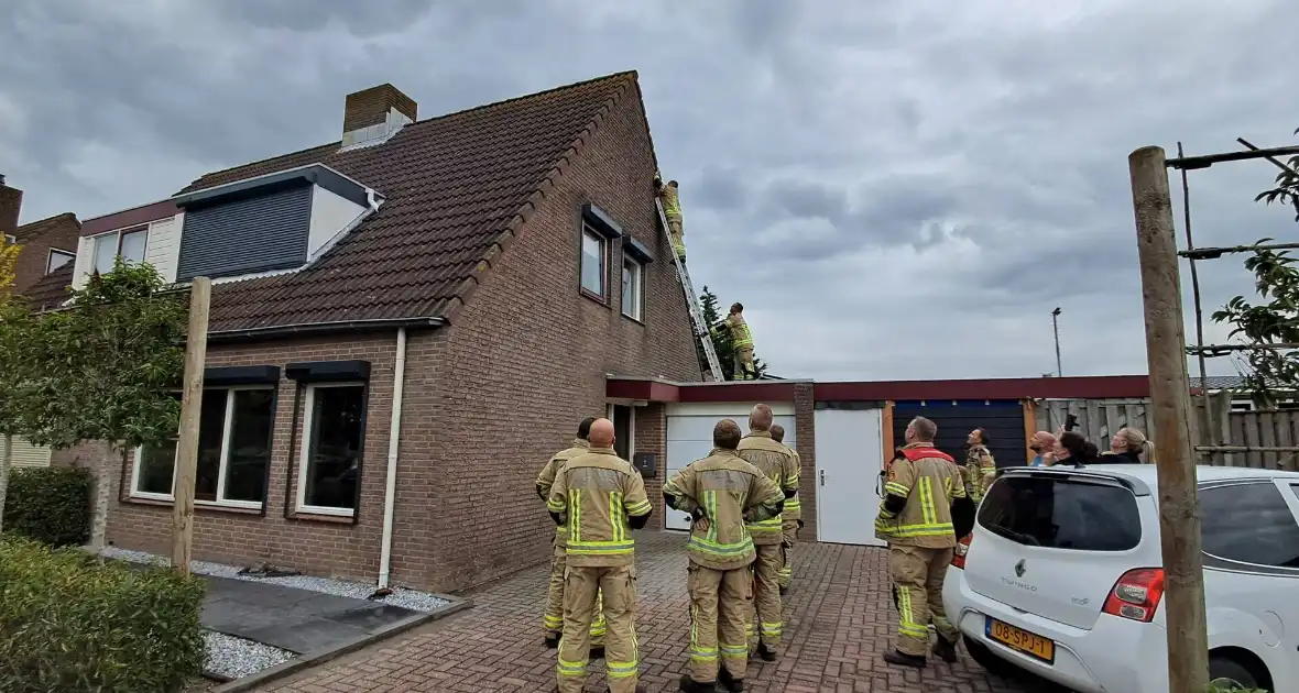 Brandweer helpt vastzittende zwaluw