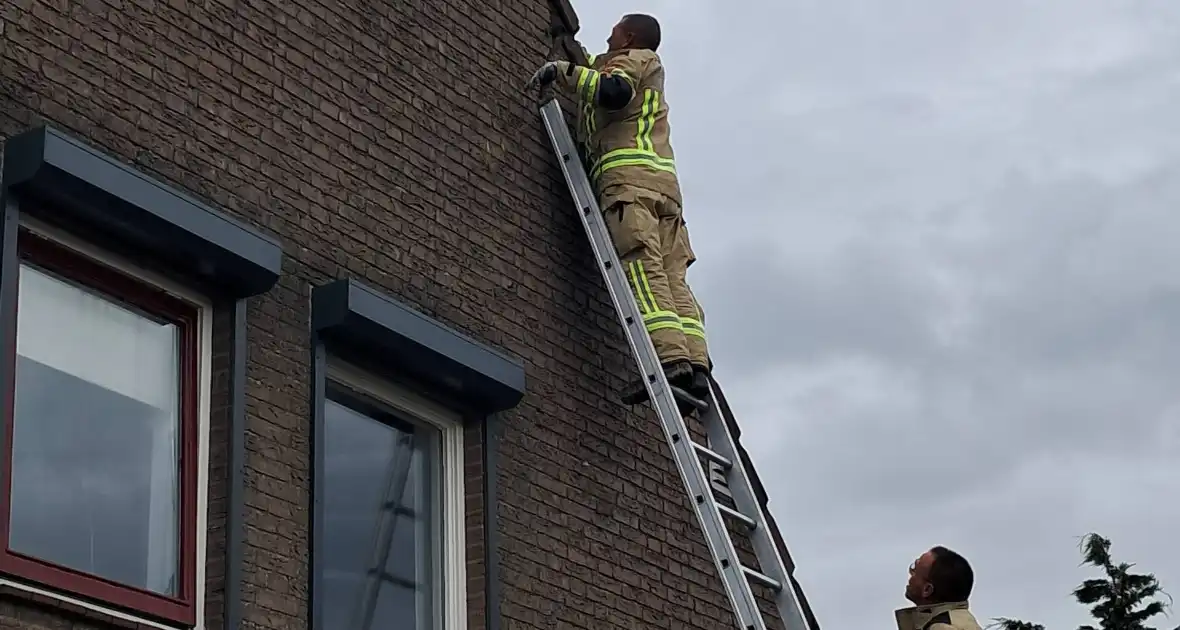 Brandweer helpt vastzittende zwaluw - Foto 1