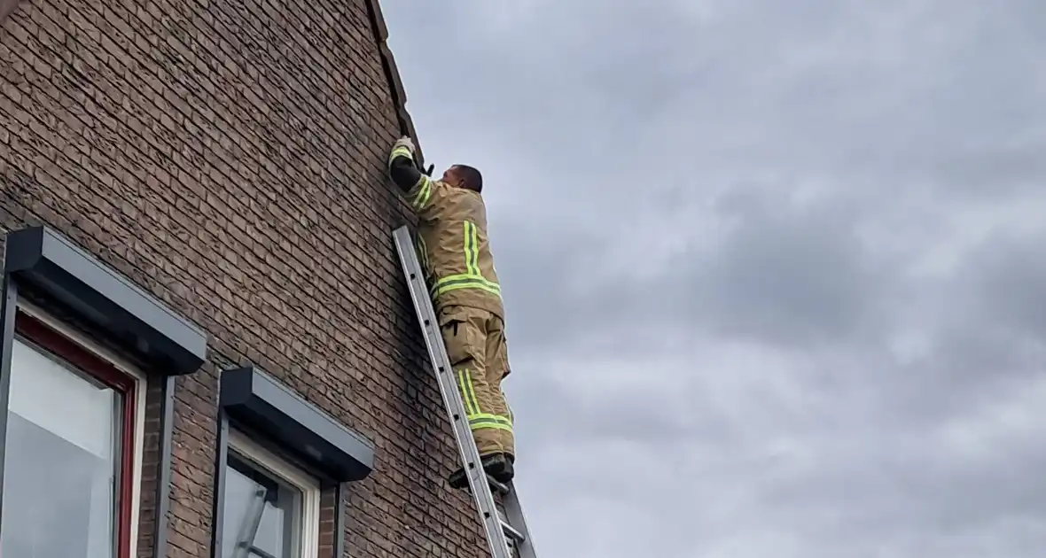 Brandweer helpt vastzittende zwaluw - Foto 2