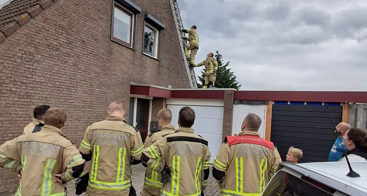 Brandweer helpt vastzittende zwaluw - Foto 4