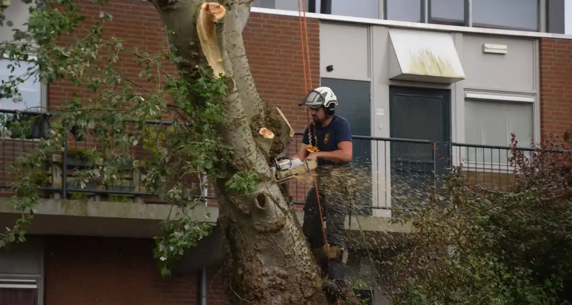 Boom verwijderd die dreigde te vallen - Foto 4