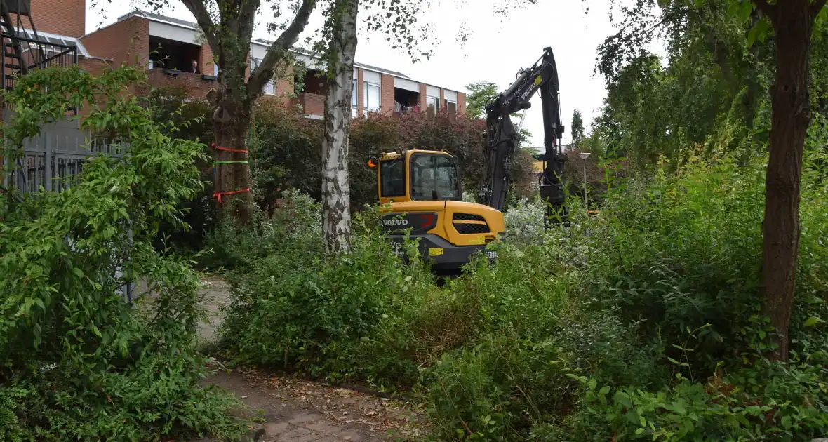 Boom verwijderd die dreigde te vallen - Foto 6