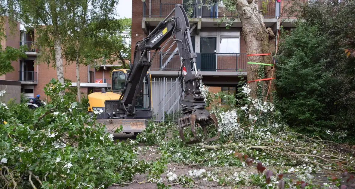 Boom verwijderd die dreigde te vallen - Foto 8