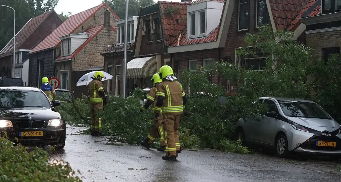 Meerdere takken blokkeren weg door harde wind