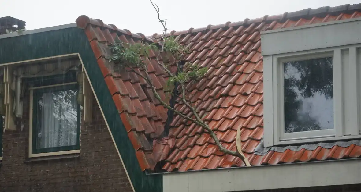 Meerdere takken blokkeren weg door harde wind - Foto 3