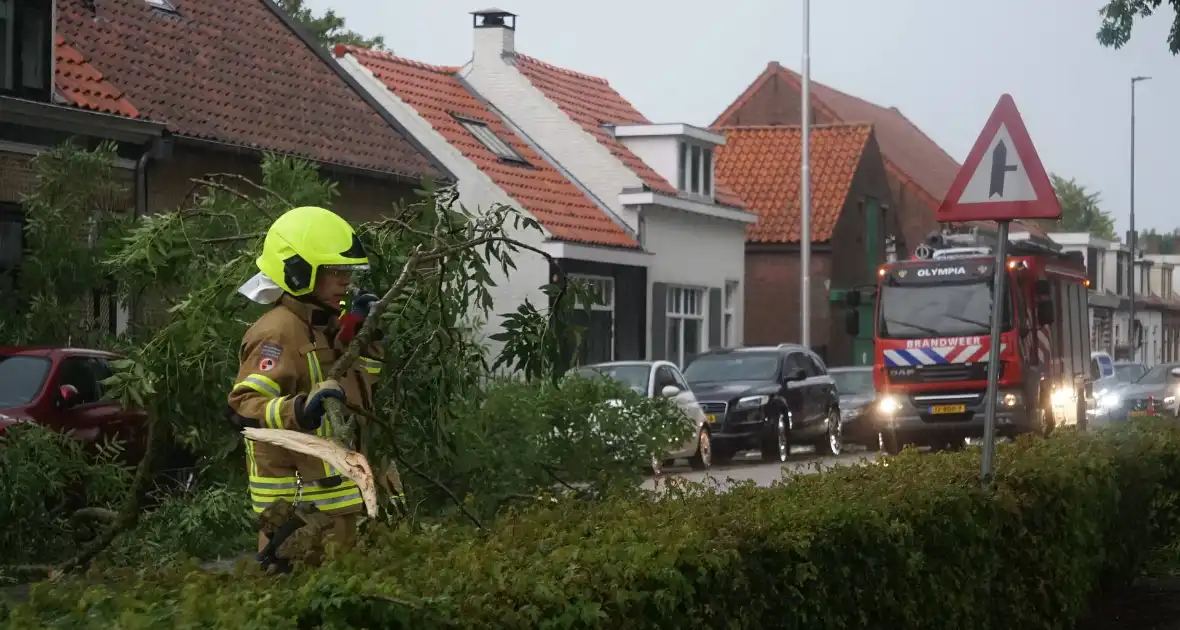 Meerdere takken blokkeren weg door harde wind - Foto 6