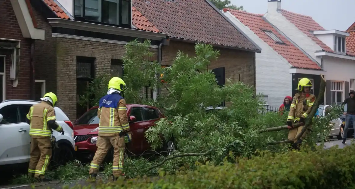 Meerdere takken blokkeren weg door harde wind - Foto 8