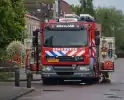 Takken waaien uit boom brandweer zet gebied af