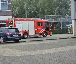 Bedrijfs barbecue loopt uit de hand