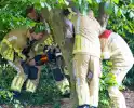 Brandweer bevrijdt vastzittend kind in boom