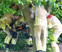 Brandweer bevrijdt vastzittend kind in boom