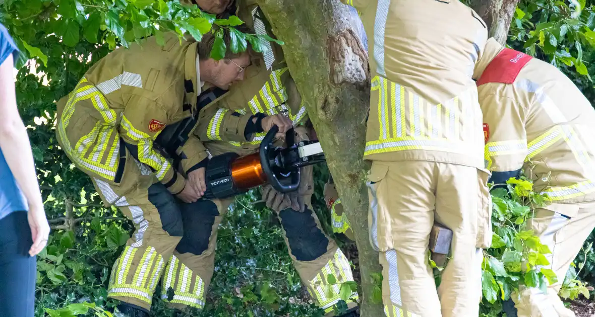 Brandweer bevrijdt vastzittend kind in boom - Foto 4