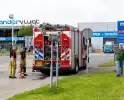 Twee waterhoentjes gevangen door de brandweer