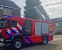 Brandweer redt jonge eekhoorntjes uit rolluik bak