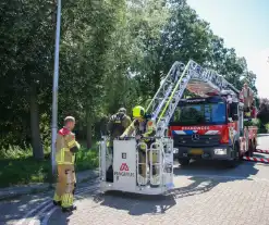 Brandweer redt poes uit boom