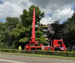 Brandweer sluit fietspad af vanwege gevaarlijk hangende takken