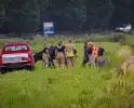 Twee koeien door brandweer uit sloot gered