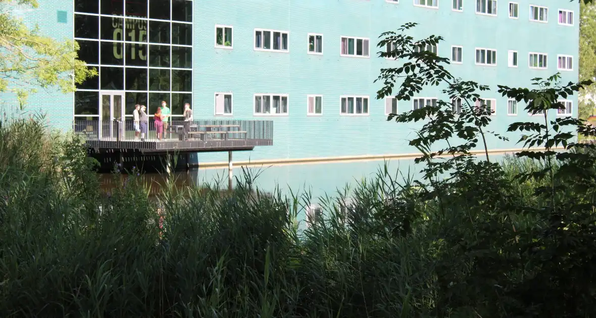 Hulpdiensten groots ingezet voor een te water geraakt persoon - Foto 2