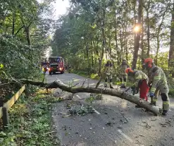 Boom belandt op drukke toegangsweg