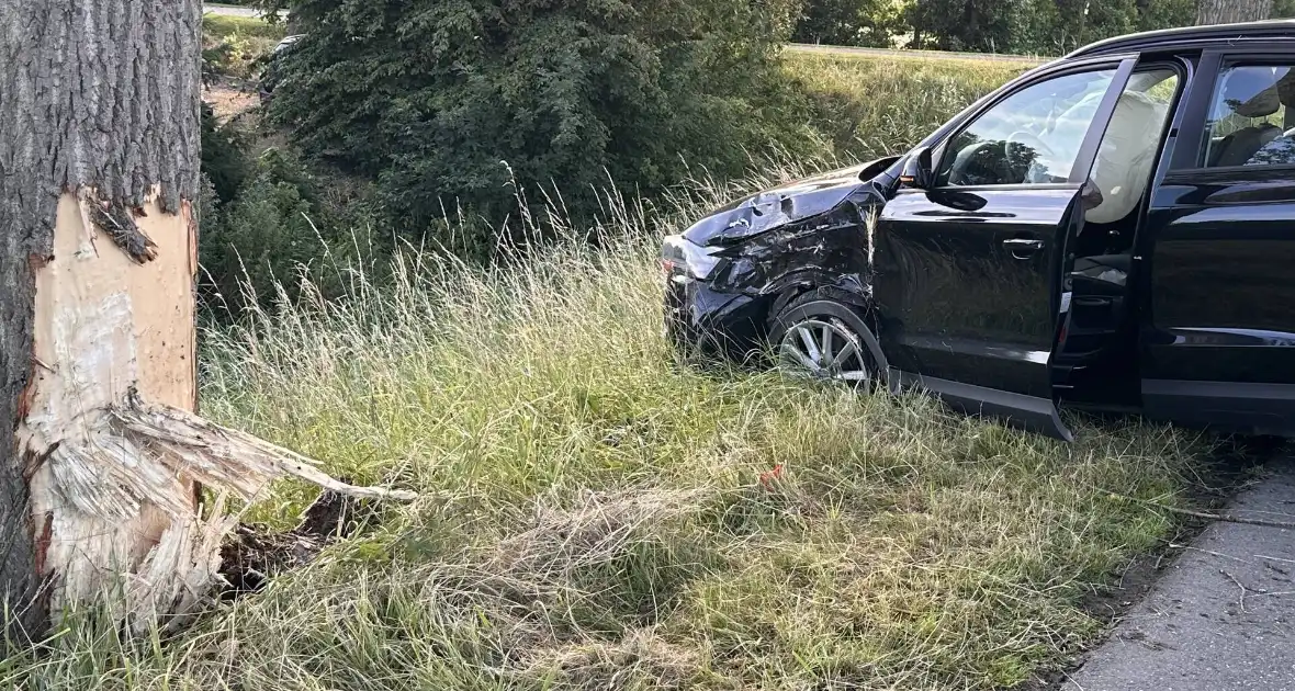 Bestuurder valt in slaap en botst tegen boom