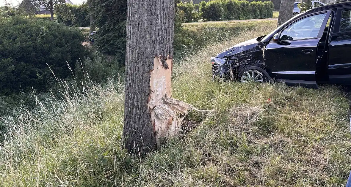 Bestuurder valt in slaap en botst tegen boom - Foto 2