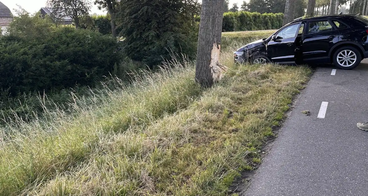 Bestuurder valt in slaap en botst tegen boom - Foto 3