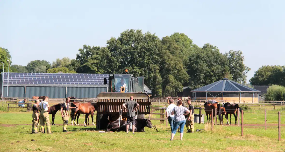 Brandweer schiet paard in problemen te hulp