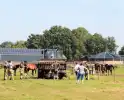 Brandweer schiet paard in problemen te hulp